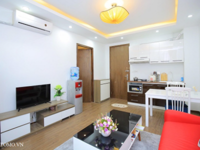 Service apartment for rent in linh lang, for foreigners near Lotte and very bright