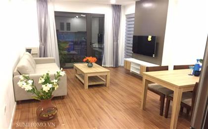 Nice 2 bedroom apartment in Phan Ke Binh street for foreigners