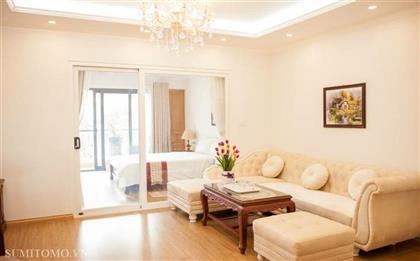 1 bedroom serviced apartment for rent Mai Hac De, Hai Ba Trung, Hanoi