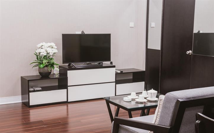 Modern 1 bedroom apartment on Bui Thi Xuan Street to rent