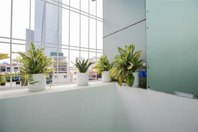 Căn hộ dịch vụ phố Đào Tấn cho thuê căn 1 ngủ 65m². Giá thuê căn hộ 15.5tr/tháng.